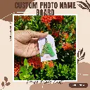 36.webp
