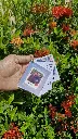 20250520_093344.webp